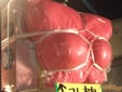 緊縛職人