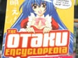 The Otaku Encyclopedia: An Insiders Guide to the Subculture of Cool Japan