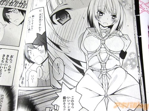 拘束少女アンソロジーコミック 合掌編　亀甲編　３冊 拘束少女アンソロジーコミック 亀甲編 (IDコミックス REX