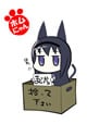 ホムにゃん