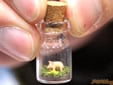 動物フィギュア
