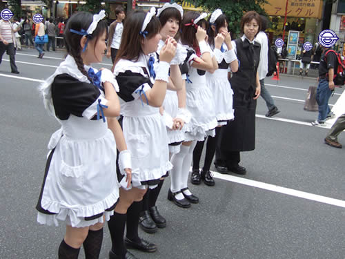 もえこtoなえこ