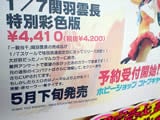 一騎当千 関羽雲長 特別彩色版