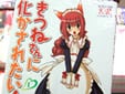 きつねさんに化かされたい!